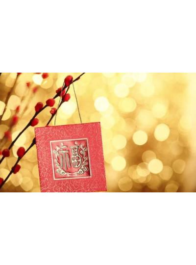 乐山鲎生科春节放假通知